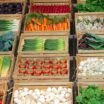 Agriculture PACA Factoring