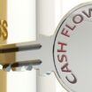 Business Cash Flow Problems