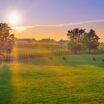 Lexington Kentucky Factoring Company