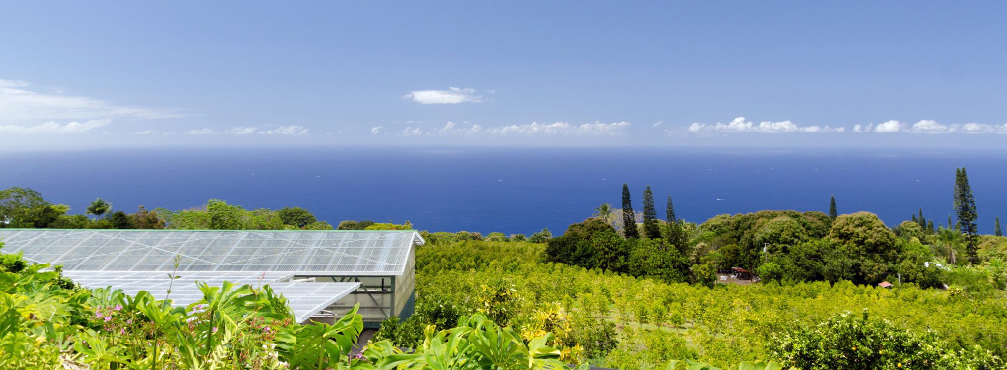 Hawaii Factoring Company