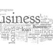 Business Financing for Minority Owned Companies